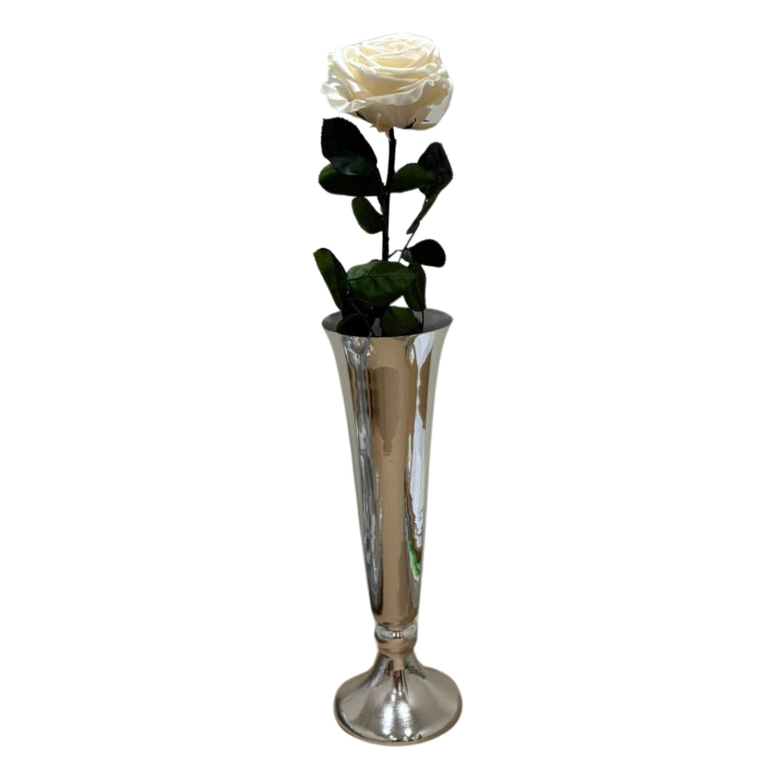 Single Rose with Stem